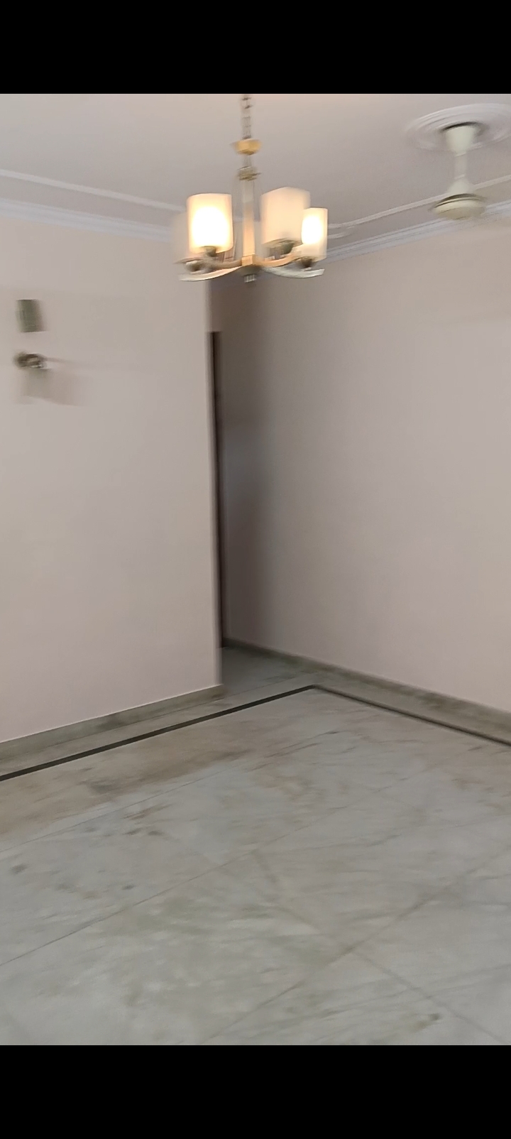 2 BHK + Pooja Room Builder Floor For Rent in Builder Floor 