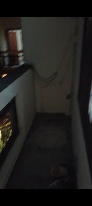 Furnished Amenities in 2 BHK Builder Floor at Govindpuri – for Rent