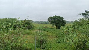  Land For Sale in Medak Road