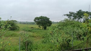 Plot Area in  Land at Medak Road – for Sale