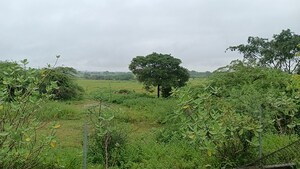 Plot Area in  Land at Medak Road – for Sale