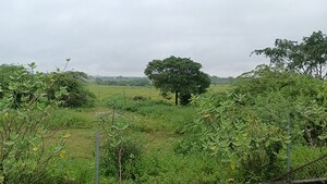 Plot Area in  Land at Medak Road – for Sale