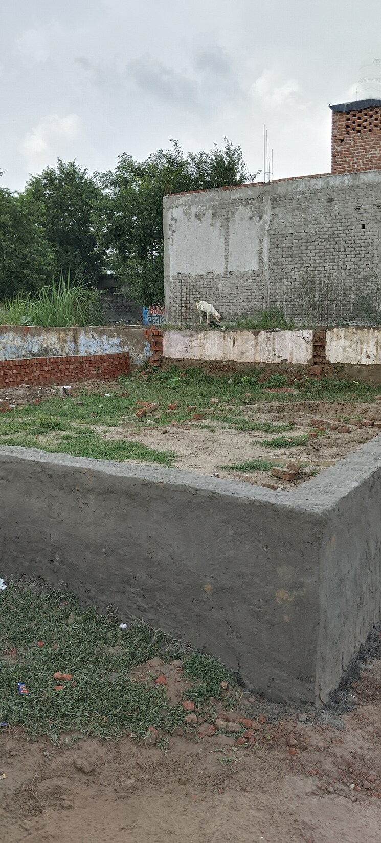 undefined, grihapravesh  195 Sq.Yd. Plot In Sector 77 Noida 9280208