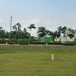 3 BHK + Study Room 140 Sq.Yd. Builder Floor in TDI city