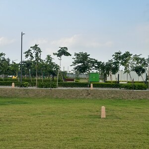 3 BHK Builder Floor For Sale in Tdi City