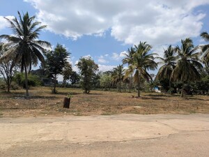Plot Area in  Land at T Narsipura Road – for Rent