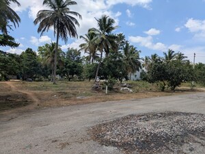 Plot Area in  Land at T Narsipura Road – for Rent