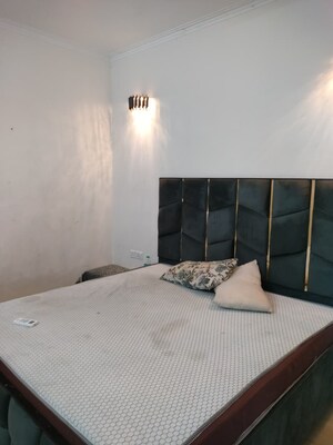 4 BHK Apartment For Rent in Omkar Royal Nest, Tech Zone 4 Greater Noida