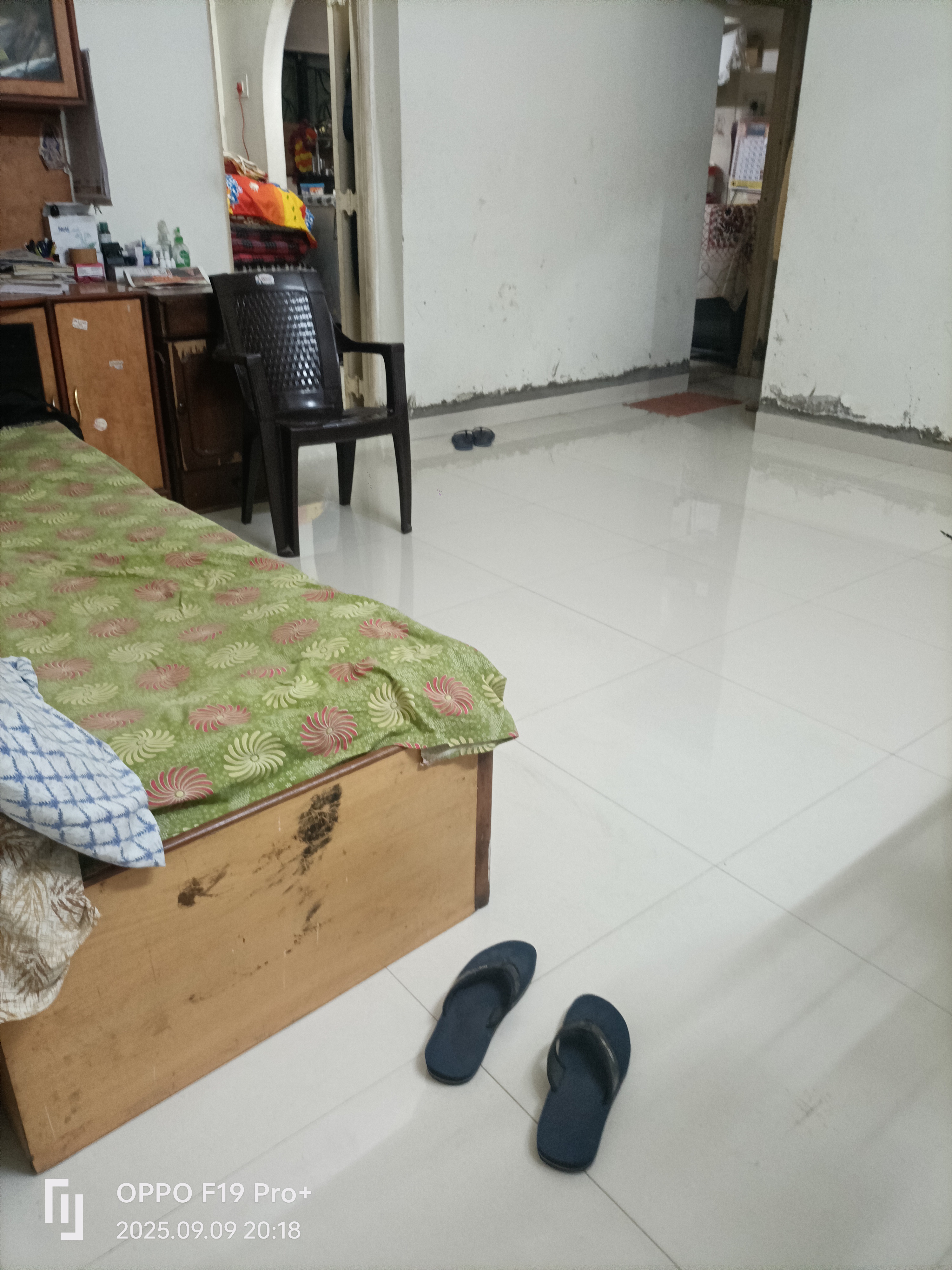 1 BHK + Study Room Villa For Rent in Karve Nagar