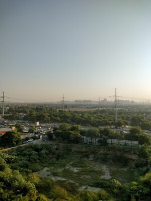 3 BHK Apartment For Sale in Amrapali Golf Homes, Sector 4 Greater Noida