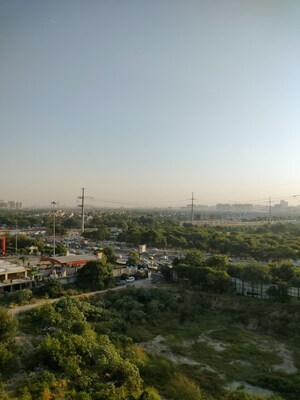 Plot Area in 3 BHK Apartment at Amrapali Kingswood, Sector 4 Greater Noida – for Rent