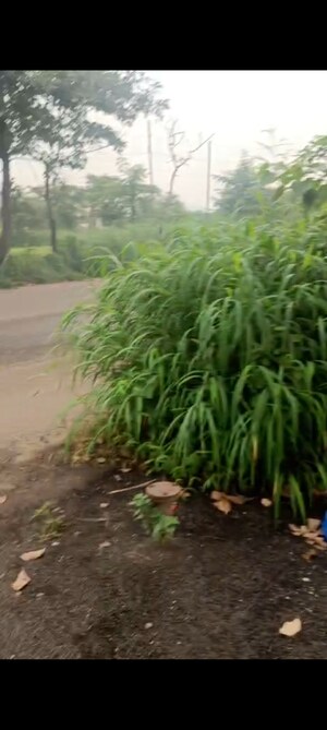  Warehouse For Rent in Pranav Corner, Uran