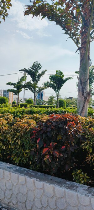  Plot – Garden View at Ujjain Road - for Sale