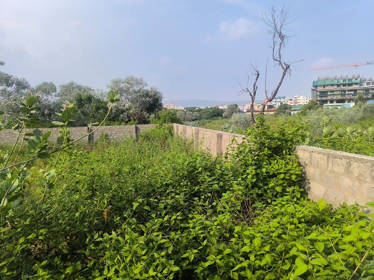undefined, madhurawada  373 Sq.Yd. Plot In Madhurawada Vizag 9282580