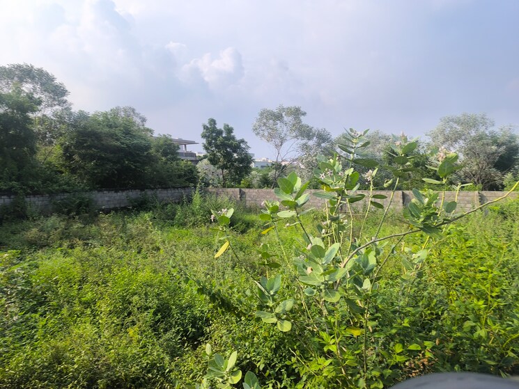 undefined, madhurawada  373 Sq.Yd. Plot In Madhurawada Vizag 9282580