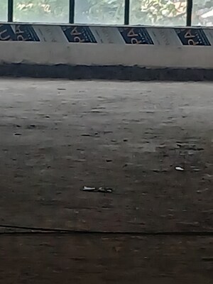 Floor Plan in  Showroom at Ekta CHS Nerul, Nerul – for Rent