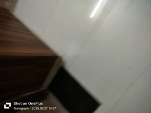  3 BHK Builder Floor at Sector 15 – for Rent