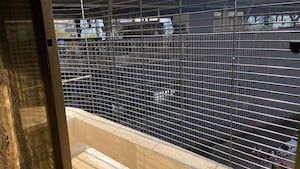 Balcony in 3 BHK Apartment at Evershine Greens, Andheri West – for Rent