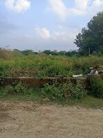1300 Sq.Yd. Plot in Awadh City