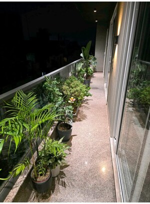 Balcony in 4 BHK Builder Floor at Chittaranjan Park – for Sale