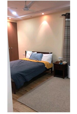 3 BHK Builder Floor For Rent in Lajpat Nagar Iii