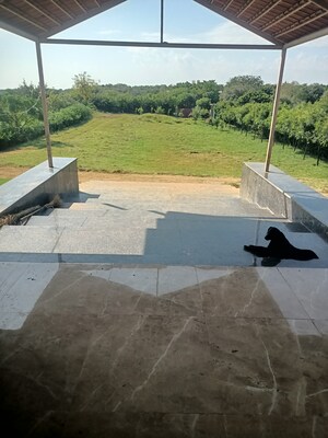 Team Area in 5 BHK Independent House at Ansal Height 86, Sector 86 – for Sale