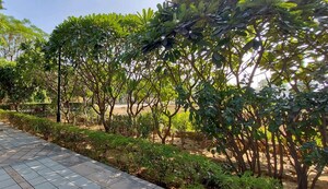  Plot – Garden View at Anant Raj Estate Plots, Sector 63a - for Sale