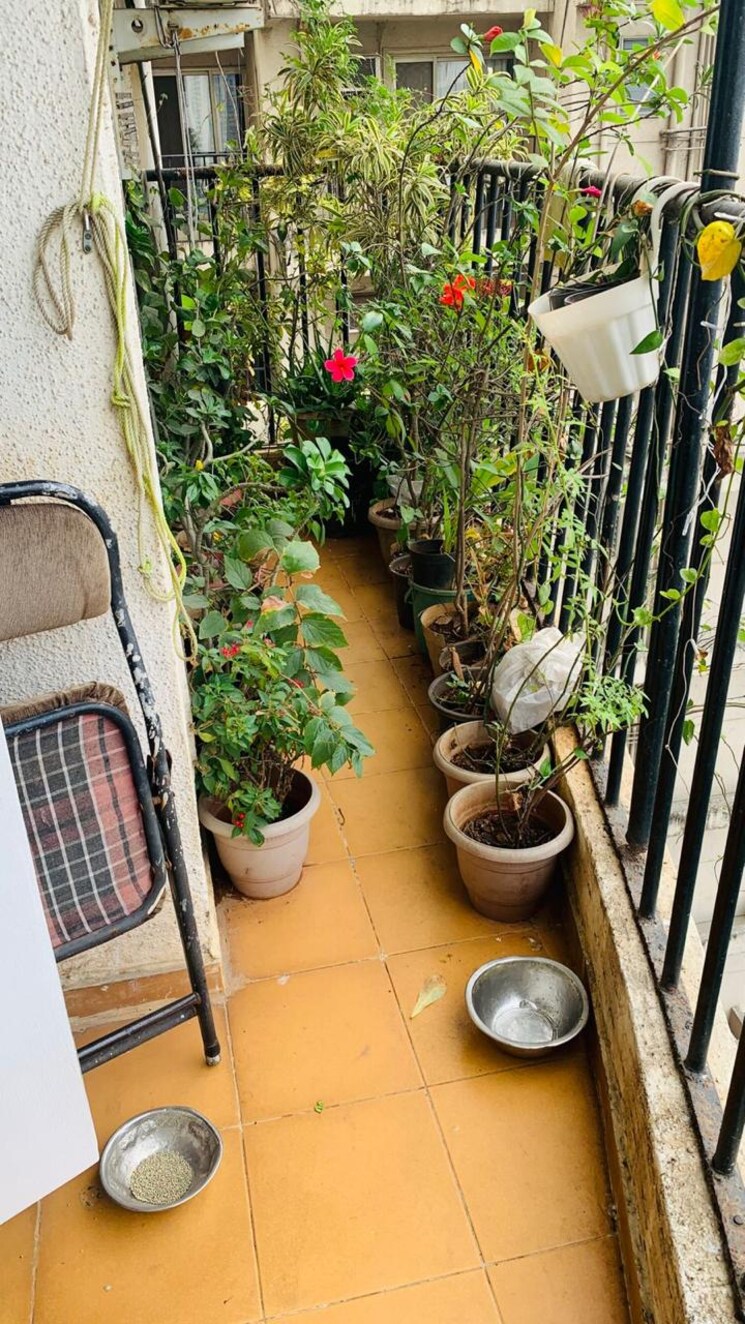 Balcony, everest-world-morning-glory-chs-ltd 2.5 Bedroom 850 Sq.Ft. Apartment In Kolshet Road Thane 9283106