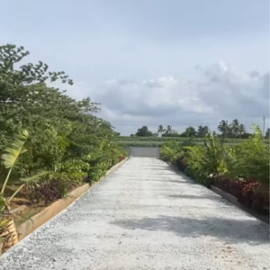  Plot – Garden View at Pavani Pride, Munnekollal - for Sale