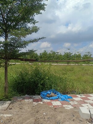 Plot Area in  Plot at Bacharam – for Sale