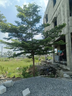  Plot For Sale in Bacharam