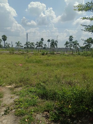 Plot Area in  Plot at Bacharam – for Sale