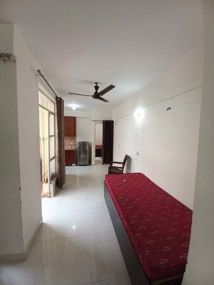 Living Room in 1 BHK Apartment at Ninex RMG Residency, Sector 37c – for Rent
