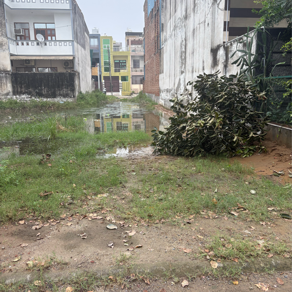 Plot For Sale in 100 Gaj Plot 