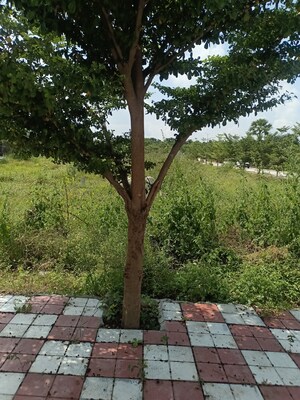  Plot – Exterior View View at Bacharam - for Sale