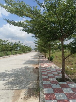   Plot at Bacharam – for Sale