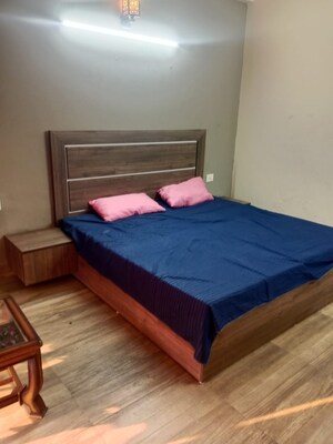 1 BHK Apartment For Rent in Paramount Golfforeste, Zeta I Greater Noida