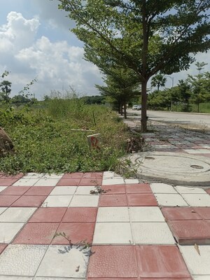  Plot – Exterior View View at Bacharam - for Sale