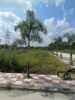  Plot – Exterior View View at Bacharam - for Sale