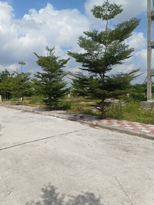 Plot Area in  Plot at Bacharam – for Sale