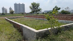 Plot Area in  Plot at Sector 105 – for Sale
