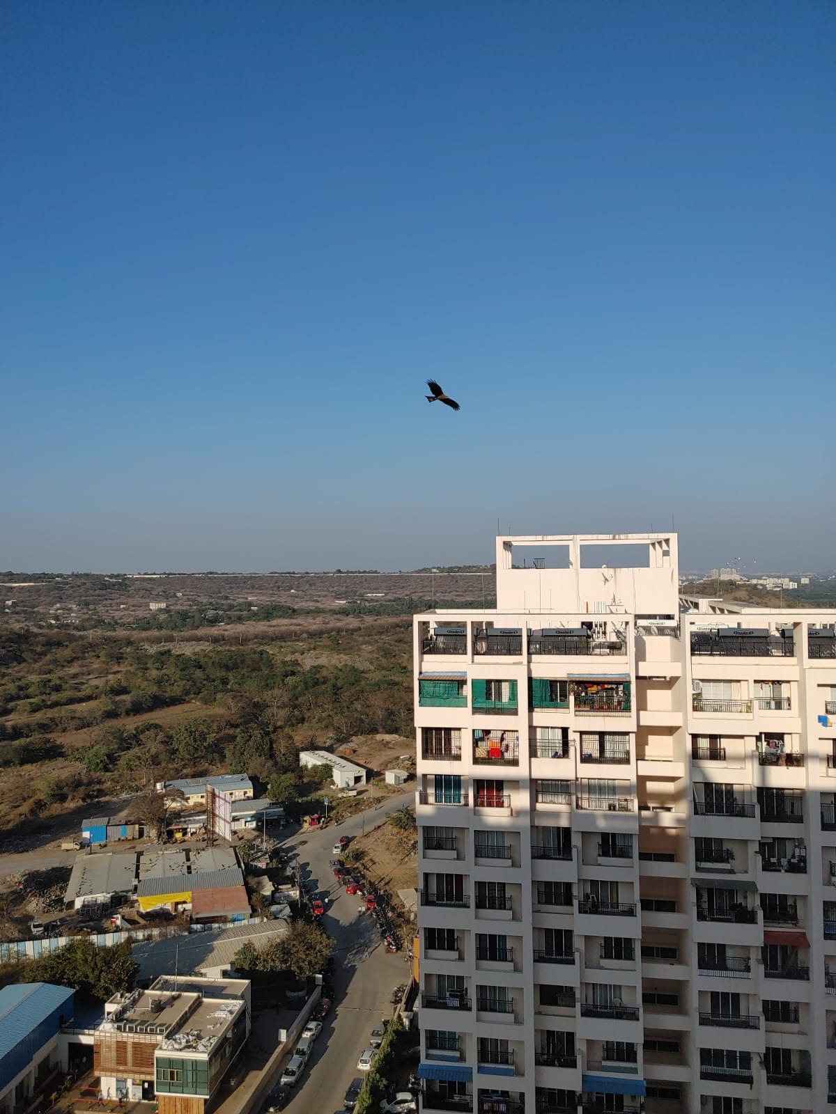 2 BHK 989 Sq.Ft. Apartment in Puranik Abitante