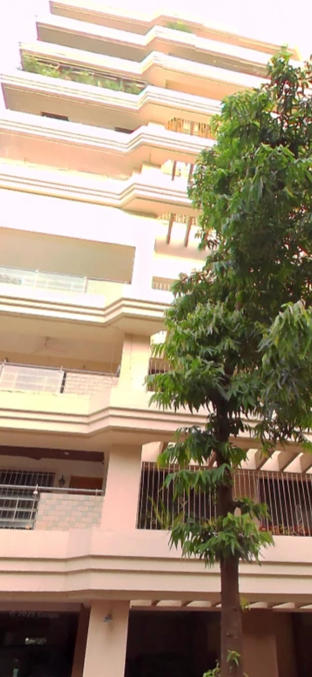 3 BHK + Servant Room Apartment For Rent in Brand Newbuilding