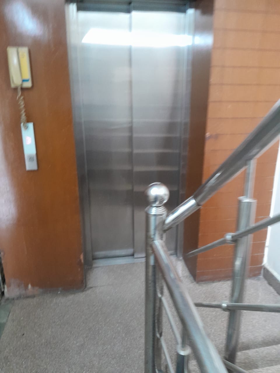 4 BHK + Study Room Builder Floor For Sale in Panchsheel Park