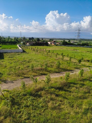  Plot For Sale in Shimla Bypass Road