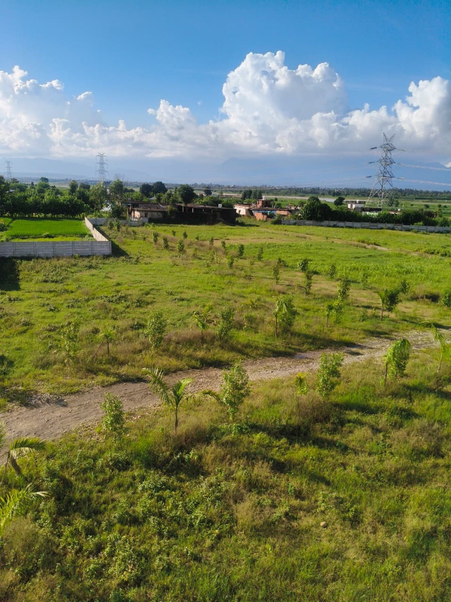Plot For Sale in Bajrang Vatika