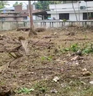 Plot Area in  Plot at Kalathode – for Sale
