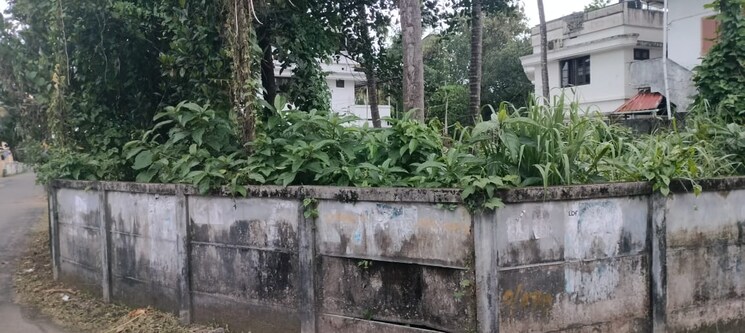 Exterior View, kalathode  4357 Sq.Ft. Plot In Kalathode Thrissur 9283833