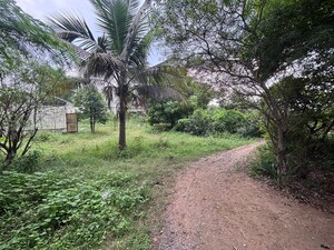  Plot – Garden View at Morabadi - for Sale