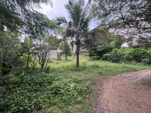  Plot For Sale in Morabadi